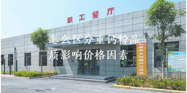 怎么区分重钙粉品质影响价格因素